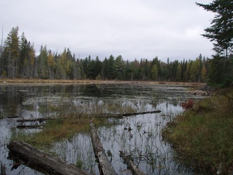 Photo from Three day trip in Algonquin Provincial Park