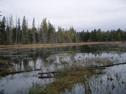 Photo from Three day trip in Algonquin Provincial Park