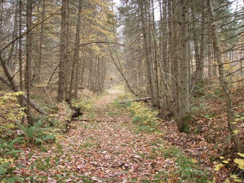 Photo from Three day trip in Algonquin Provincial Park
