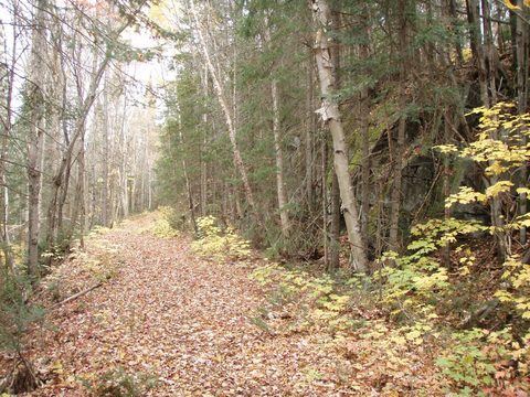 Photo from Three day trip in Algonquin Provincial Park
