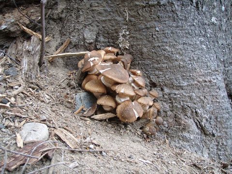 Photo from Three day trip in Algonquin Provincial Park