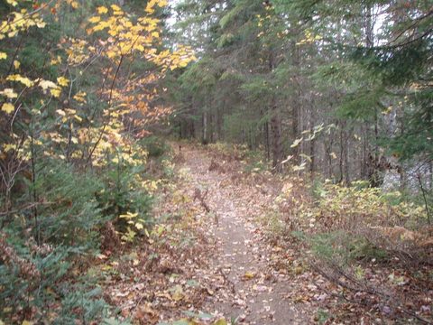 Photo from Three day trip in Algonquin Provincial Park