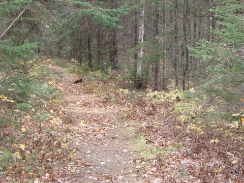 Photo from Three day trip in Algonquin Provincial Park