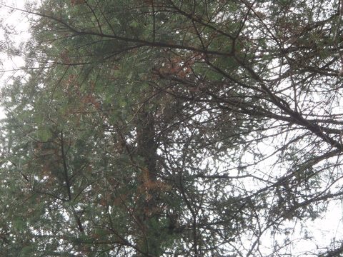 Photo from Three day trip in Algonquin Provincial Park