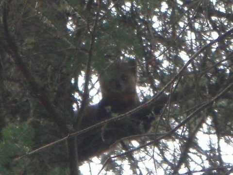 Photo from Three day trip in Algonquin Provincial Park