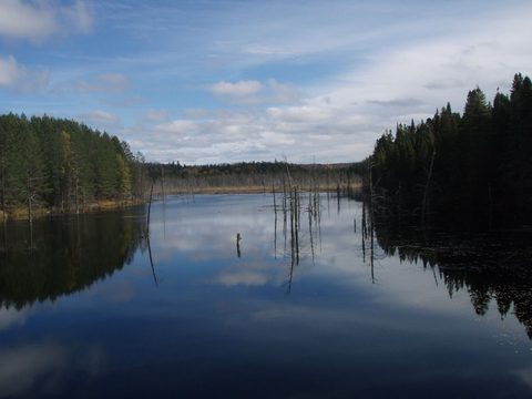 Photo from Three day trip in Algonquin Provincial Park