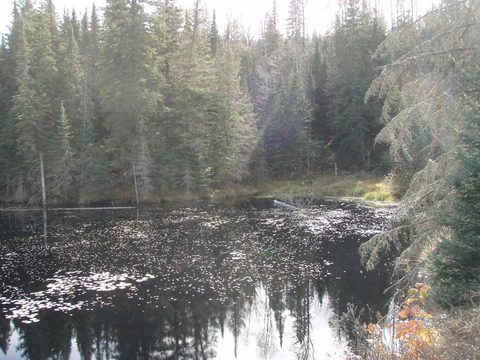 Photo from Three day trip in Algonquin Provincial Park
