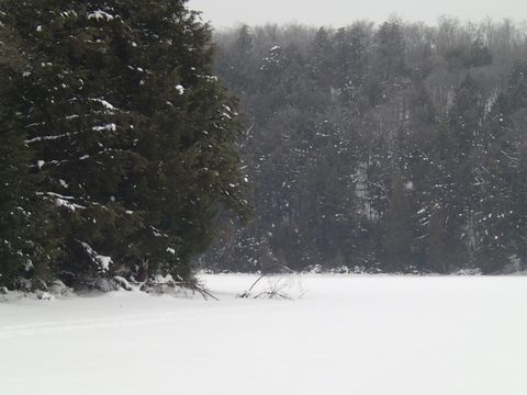 Photo from Snowshoe Camping, Guskewa Lake, Algonquin