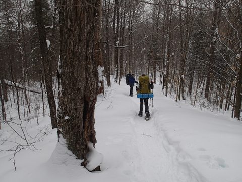 Photo from Snowshoe Camping, Guskewa Lake, Algonquin