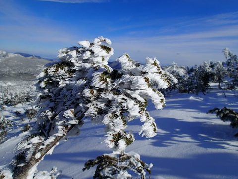Photo from Backpacking, Mt. Marcy summit, Lake Placid, NY