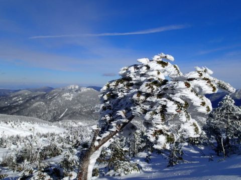 Photo from Backpacking, Mt. Marcy summit, Lake Placid, NY