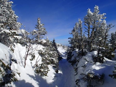 Photo from Backpacking, Mt. Marcy summit, Lake Placid, NY