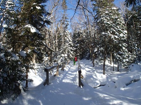 Photo from Backpacking, Mt. Marcy summit, Lake Placid, NY