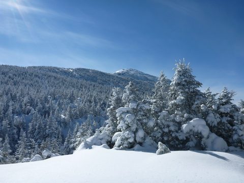 Photo from Backpacking, Mt. Marcy summit, Lake Placid, NY