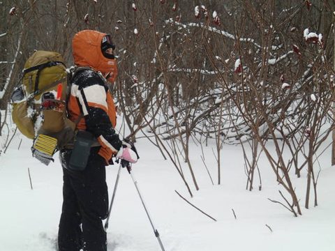 Photo from Snowshoe camping, Bruce Peninsula National Park