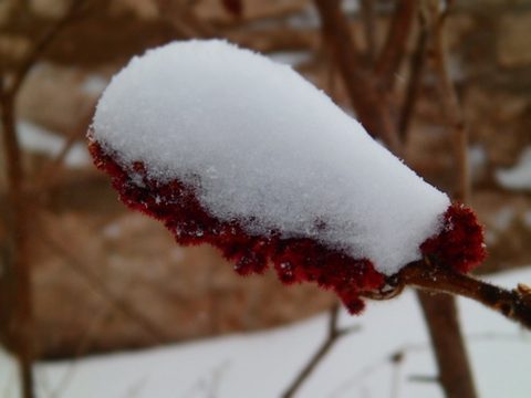 Photo from Snowshoe camping, Bruce Peninsula National Park