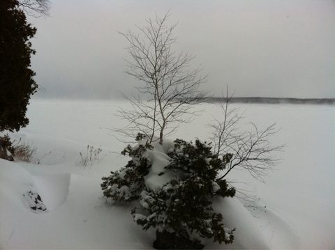 Photo from Snowshoe camping, Bruce Peninsula National Park