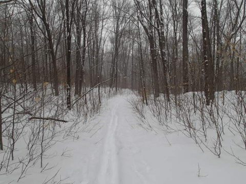 Photo from Ski camping, Minnesing Wilderness Trail, Algonquin