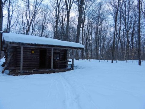 Winter oasis