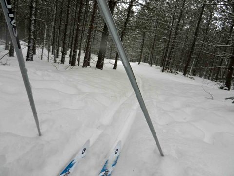 Marv's tracks in the deep powder