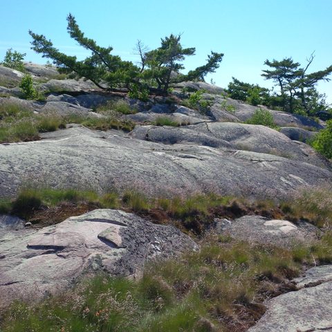 Photo from Sea Kayaking, Philip Edward Island, Killarney