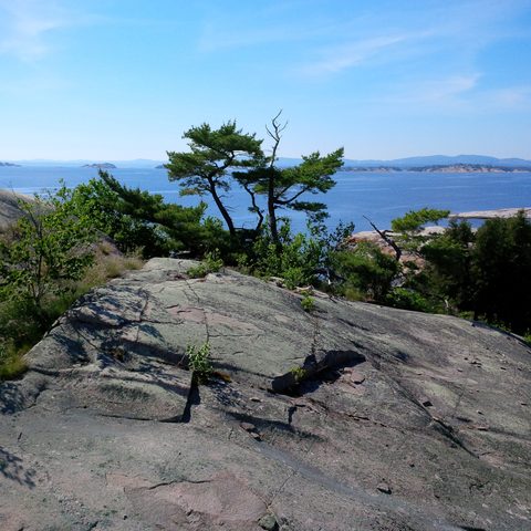 Photo from Sea Kayaking, Philip Edward Island, Killarney