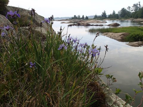 Photo from Sea Kayaking, Philip Edward Island, Killarney