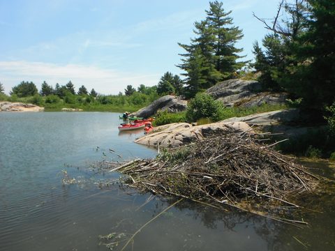Photo from Sea Kayaking, Philip Edward Island, Killarney