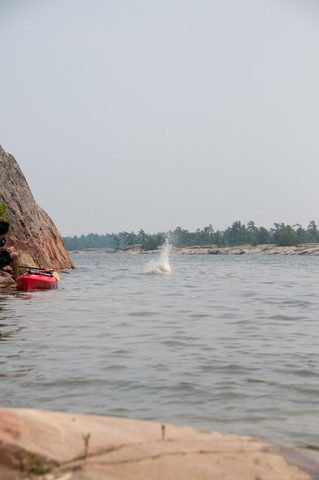 Photo from Sea Kayaking, Philip Edward Island, Killarney