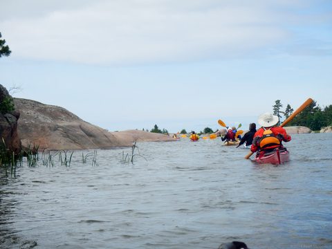 Photo from Sea Kayaking, Philip Edward Island, Killarney
