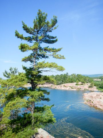 Photo from Sea Kayaking, Philip Edward Island, Killarney
