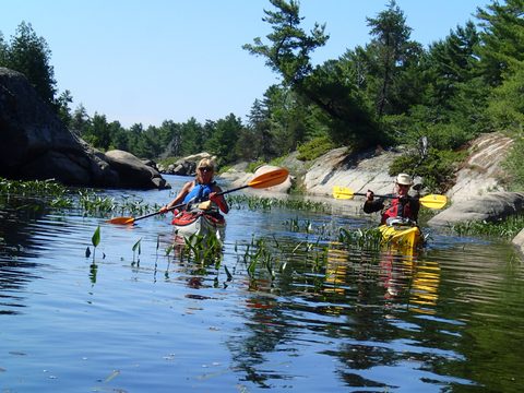 Photo from Kayaking, Bustard Islands via French River