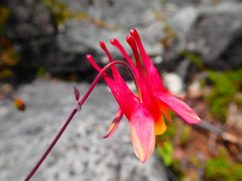 Photo from Kayaking/Hiking, Bruce Peninsula National Park