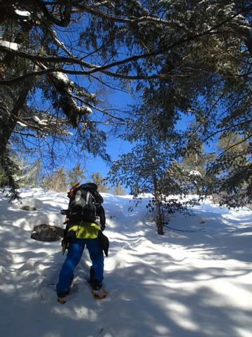 Photo from Snowshoe camping, Killarney Provincial Park
