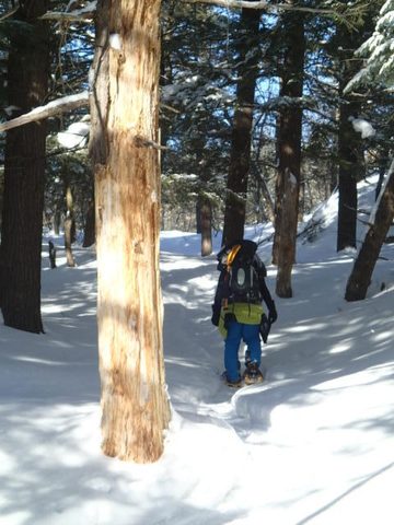 Photo from Snowshoe camping, Killarney Provincial Park