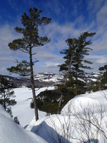 Photo from Snowshoe camping, Killarney Provincial Park