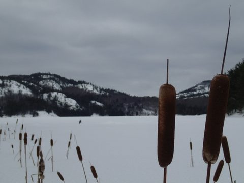 Photo from Snowshoe camping, Killarney Provincial Park