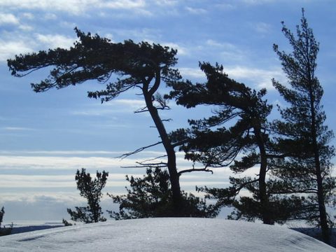 Photo from Snowshoe camping, Killarney Provincial Park