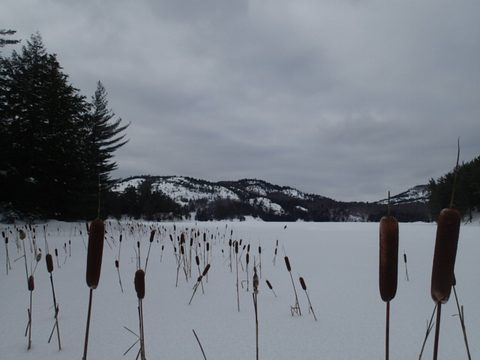 Photo from Snowshoe camping, Killarney Provincial Park