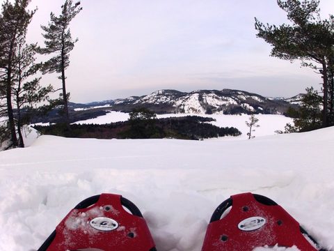 Photo from Snowshoe camping, Killarney Provincial Park