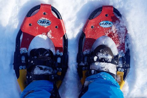 Photo from Snowshoe camping, Killarney Provincial Park