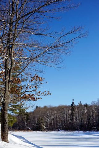 Photo from Snowshoe camping, Killarney Provincial Park