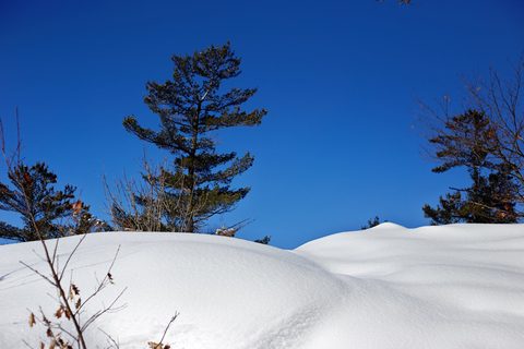 Photo from Snowshoe camping, Killarney Provincial Park