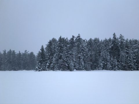 Looking across Maple Leaf Lake