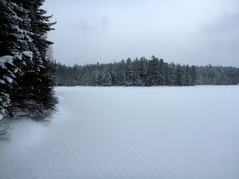 Looking across Maple Leaf Lake