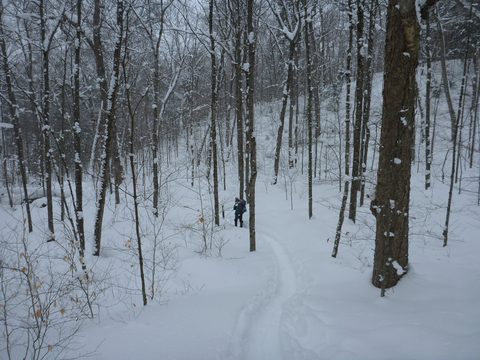 Photo from Beginners Winter Backpacking Course