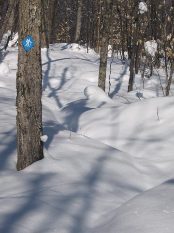 Photo from Winter Backpacking Trip 2.0, Algonquin Park, Maggie Lake