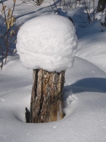 Photo from Winter Backpacking Trip 2.0, Algonquin Park, Maggie Lake