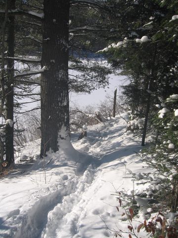 Photo from Winter Backpacking Trip 2.0, Algonquin Park, Maggie Lake
