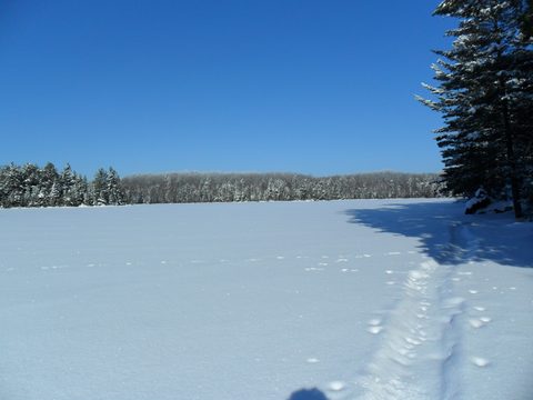 Photo from Winter Backpacking Trip 2.0, Algonquin Park, Maggie Lake